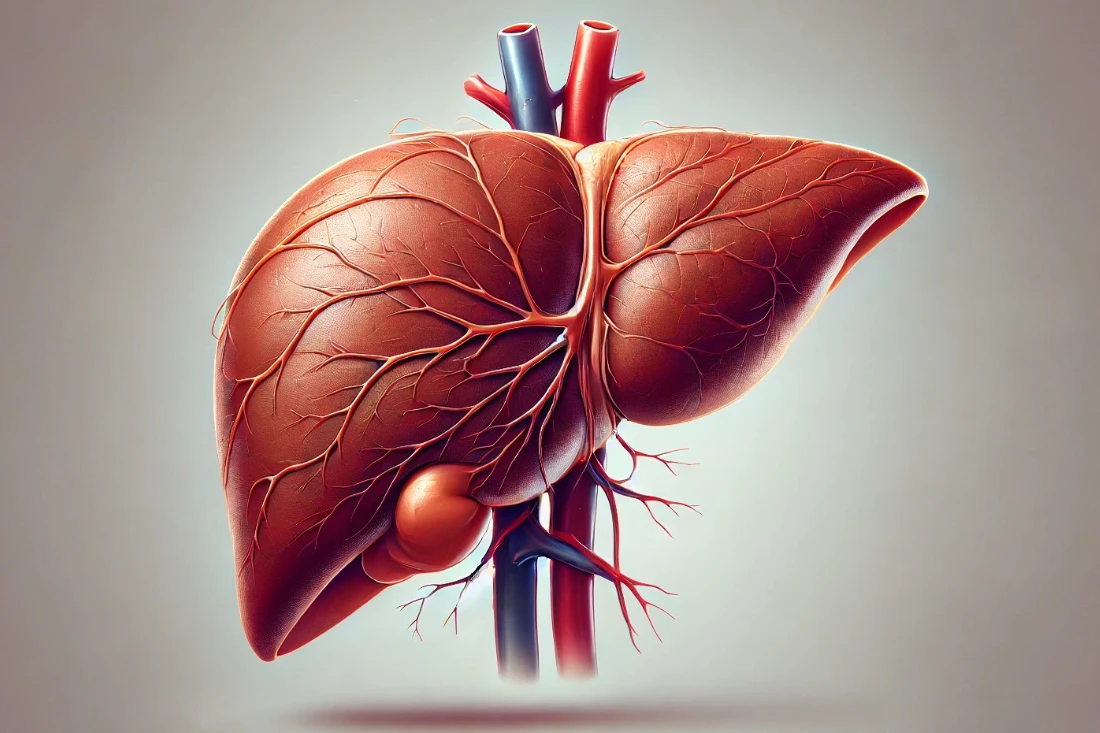 The Hidden Connection - How Liver Health Influences Weight Loss Outcomes