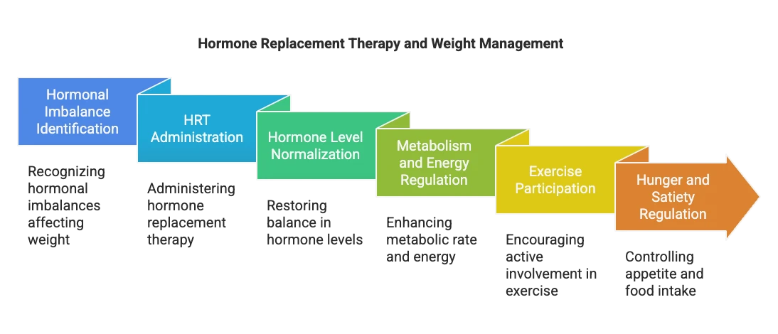 Hormone Replacement Therapy (HRT) - visual selection